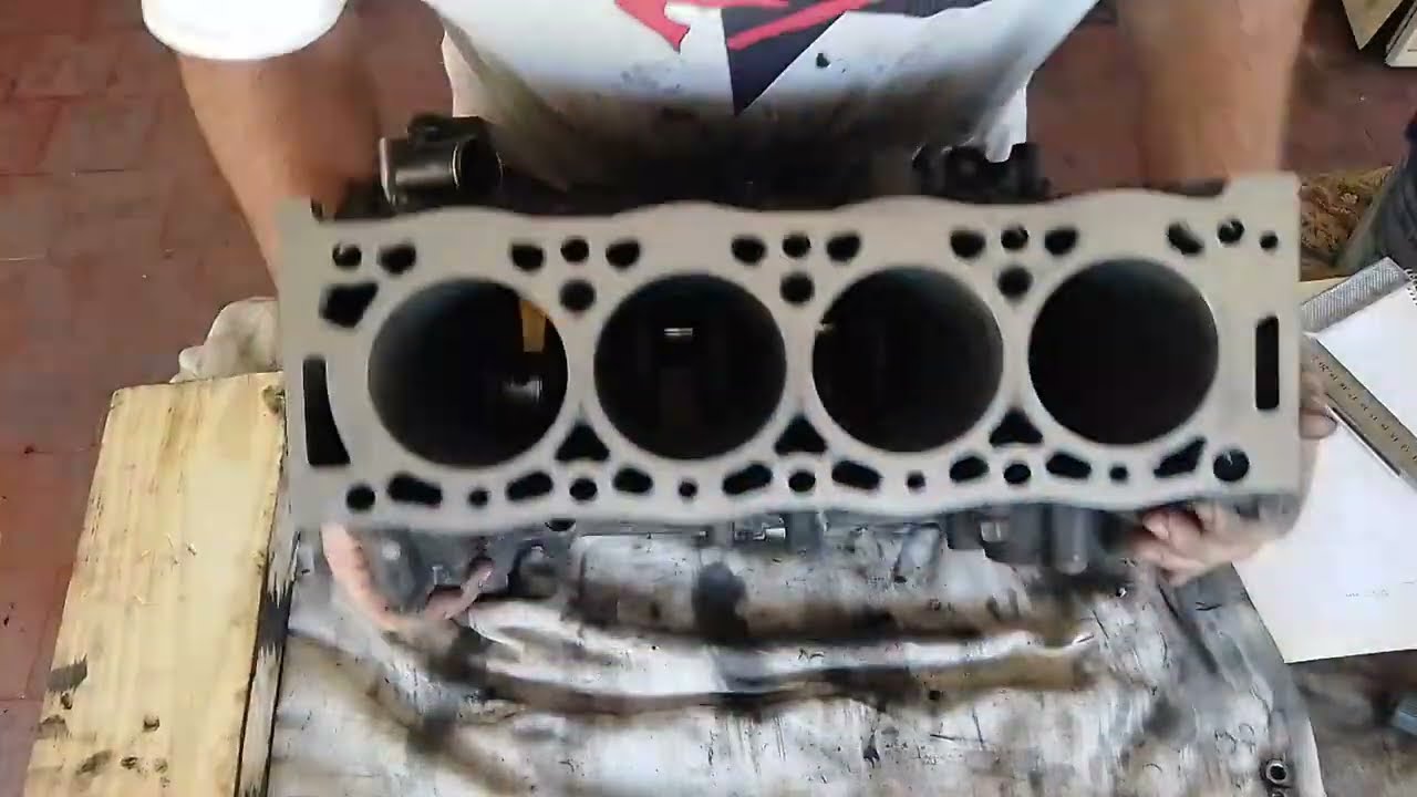 Armando motor DW8 1.9 Diesel.