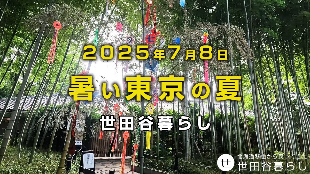 世田谷散歩｜砧公園、岡本公園、富士見坂の朝の散歩堂動画です