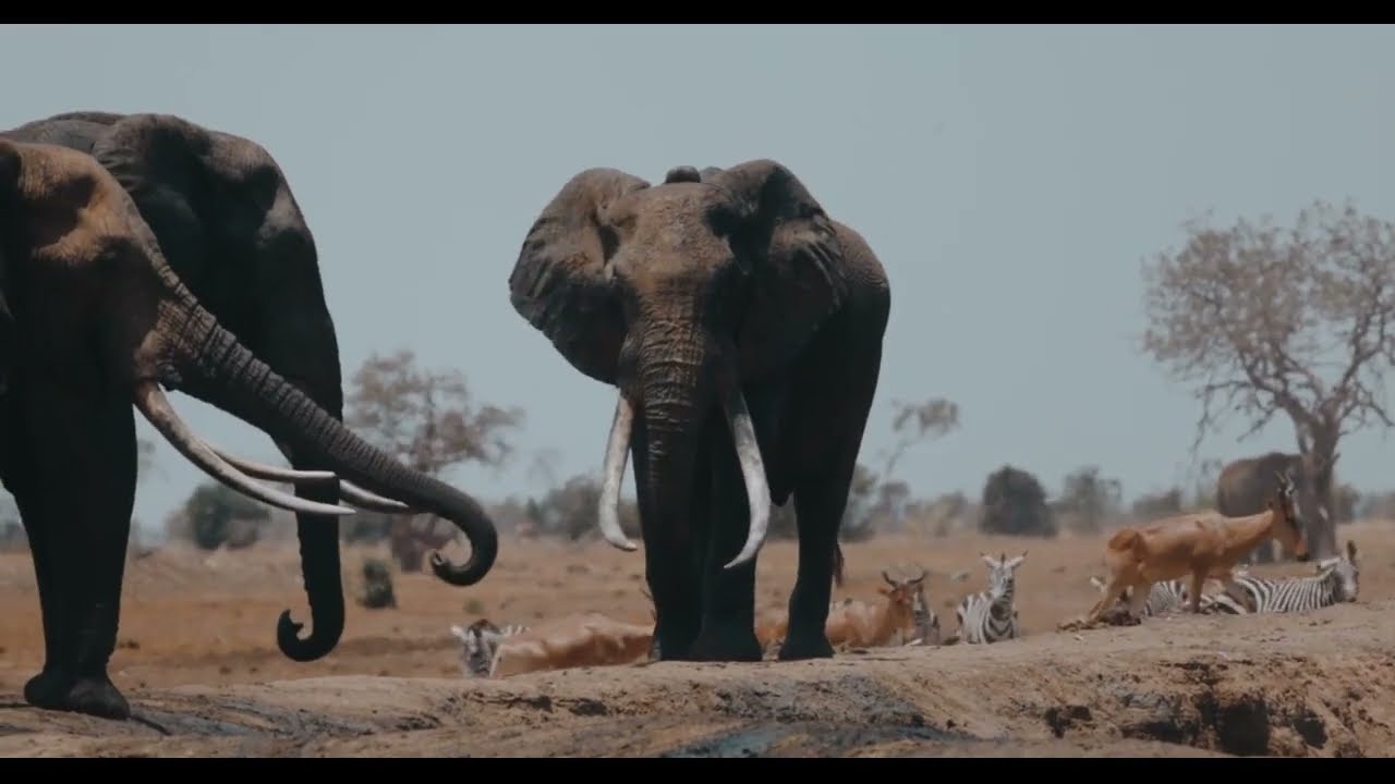 Ницше - Странник и его тень(23)