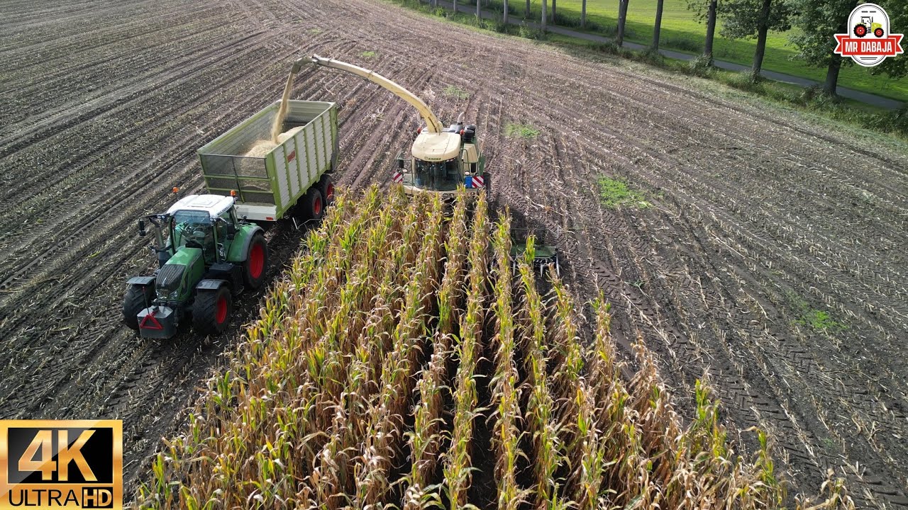 part 1 Cornharvest 2023 Mulders bv krone big x 850+ easycollect 12 rows+fendt+dronefootage