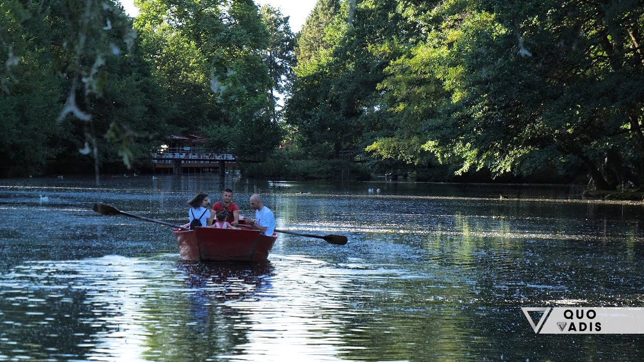 Quo Vadis- Pogradeci/ Ushqim fantastik, çmime të lira dhe vende mahnitëse - Vizion Plus