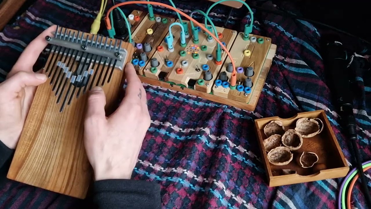 Nøtteskall /// Cocoquantus, eKalimba and nutshells