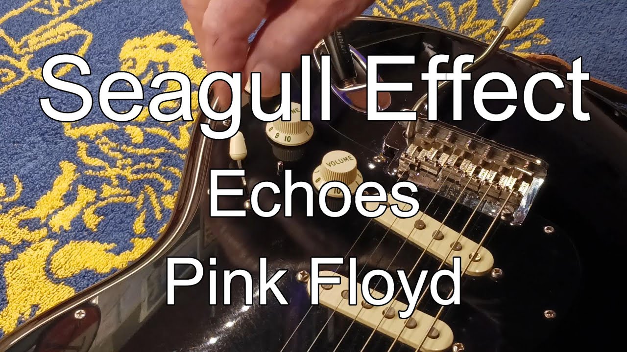 The Seagull Effect - David Gilmour - Echoes - Pink Floyd