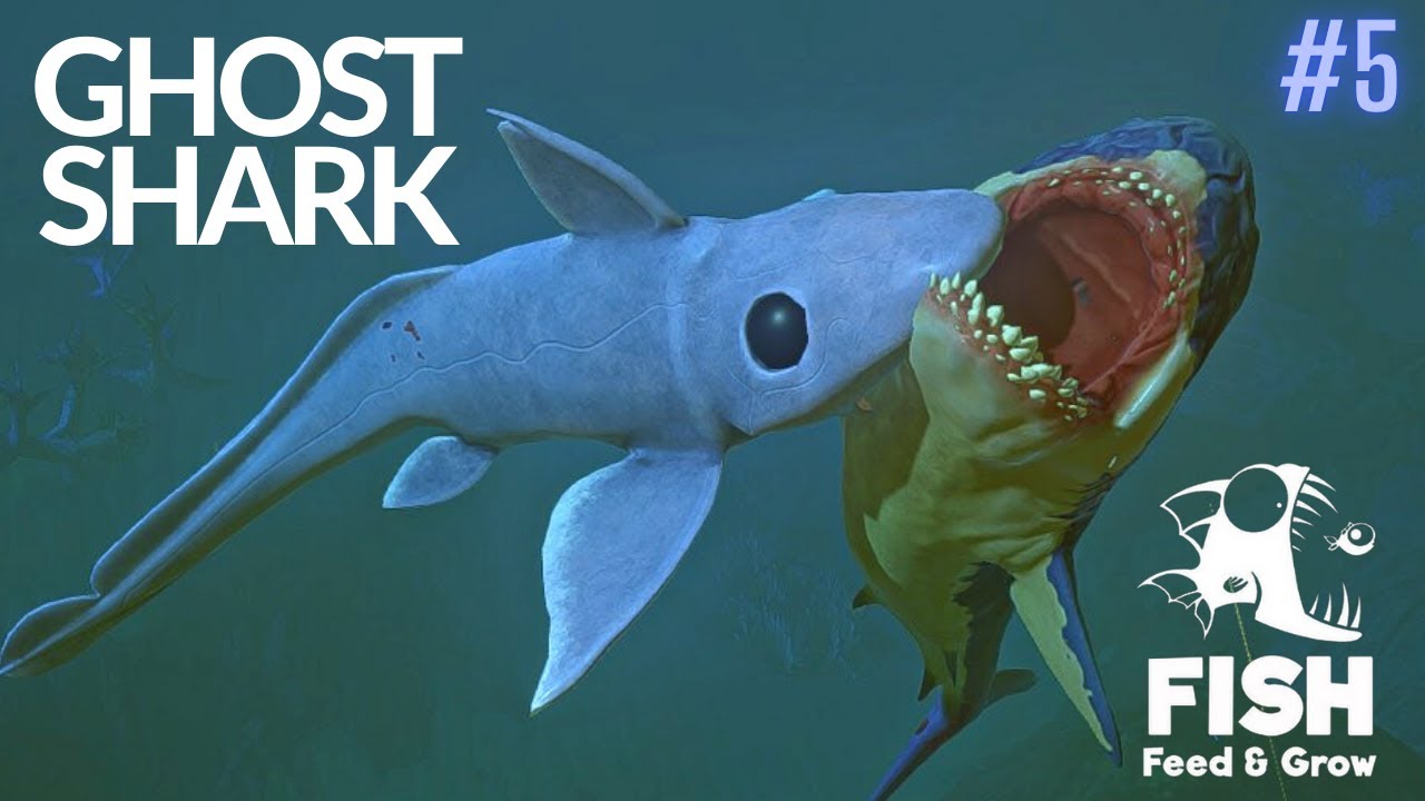 Feed And Grow Fish : Ghost Shark