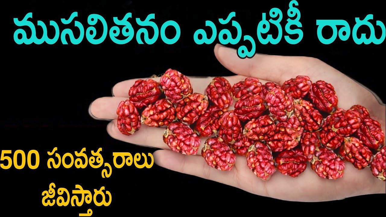 👉ఇది 1 తింటే చాలు చేతులు,కాళ్లు, వెన్నునొప్పి,అలసట,నీరసం,రక్తహీనత లేకుండా 100 ఏళ్లు వచ్చిన హాయిగా🤗
