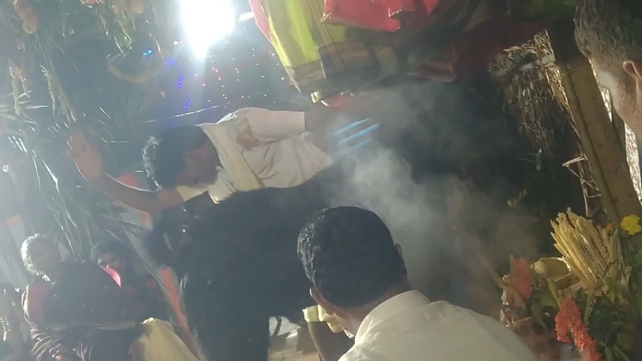 Boddu simhachalam gollachadavu 02:02:2025