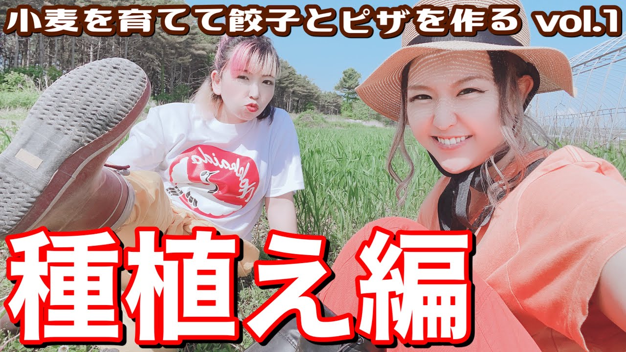 捨てられた小麦で0から餃子&ピザ作り第1弾！家庭菜園レベル越え！