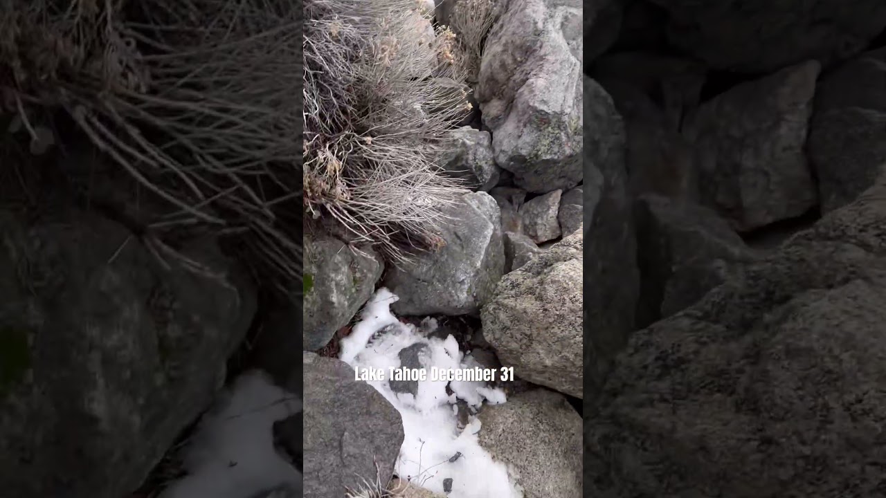 Fishing with live minnows at Lake Tahoe in winter! 