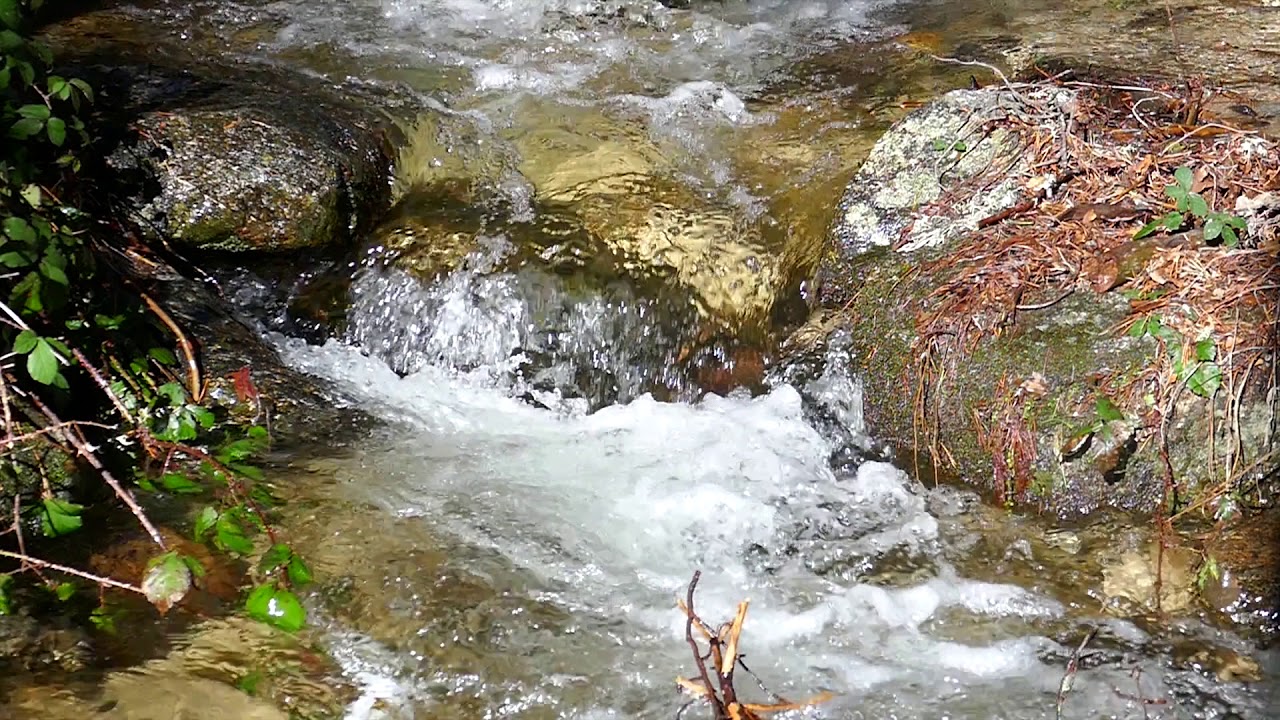 Relajarse con sonidos de agua - Relax with sounds of water