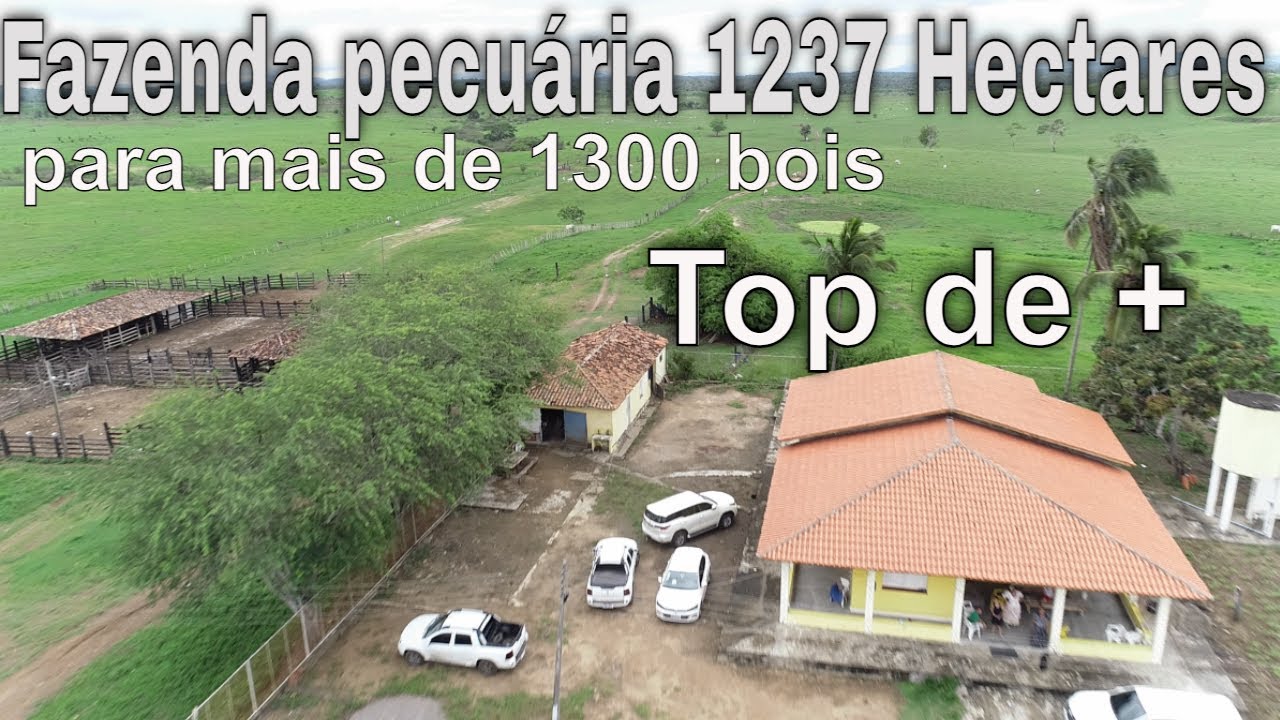 Fazenda pecuária 1.237 Hectares a venda. Ótima opção
