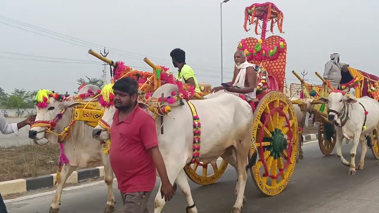 భట్టిప్రోలు రథం ఊరేగింపు .వైరల్ వీడియోస్, భట్టిప్రోలు, ఎద్దుల పందాలు, రథసప్తమి. భట్టిప్రోలు హైవే 