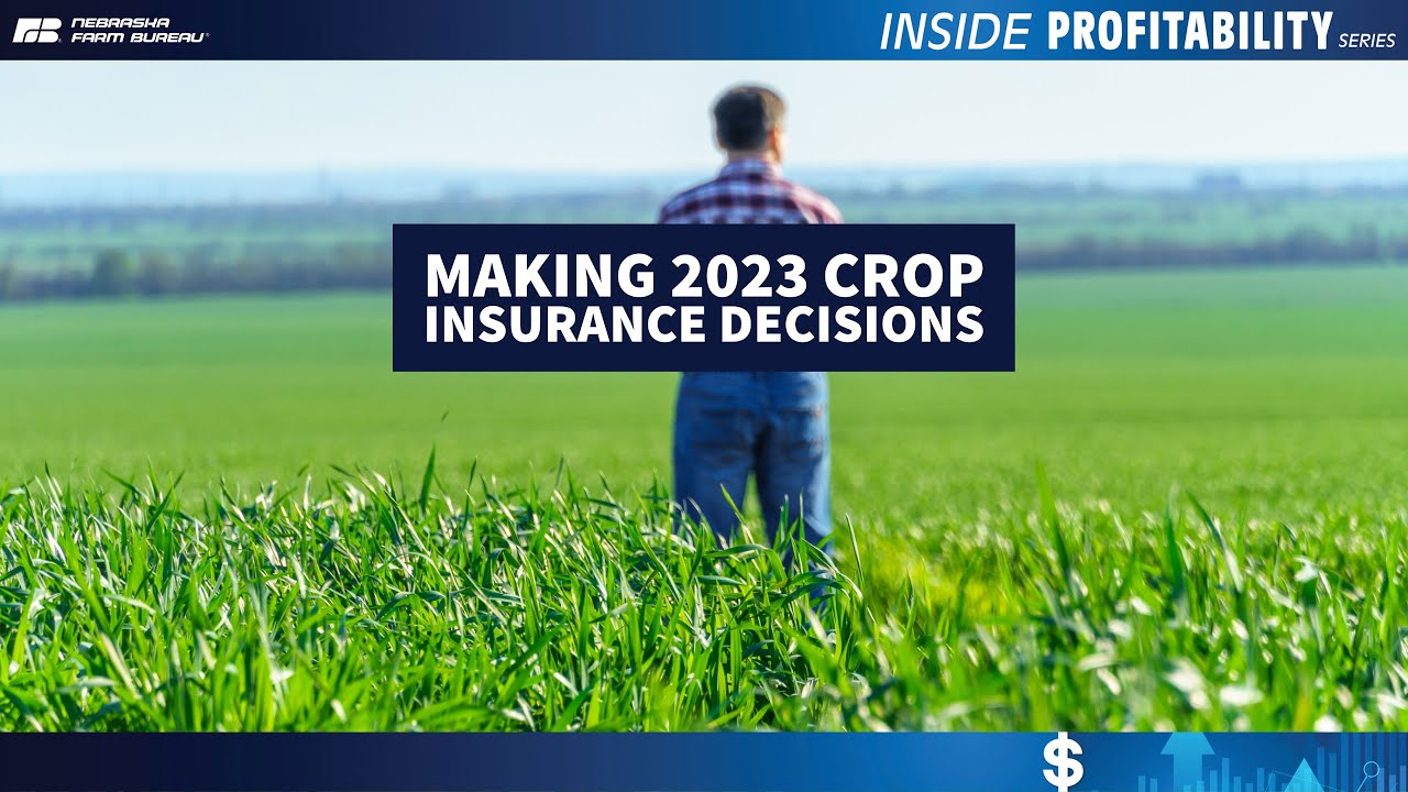 Inside Profitability: Making 2023 Crop Insurance Decisions