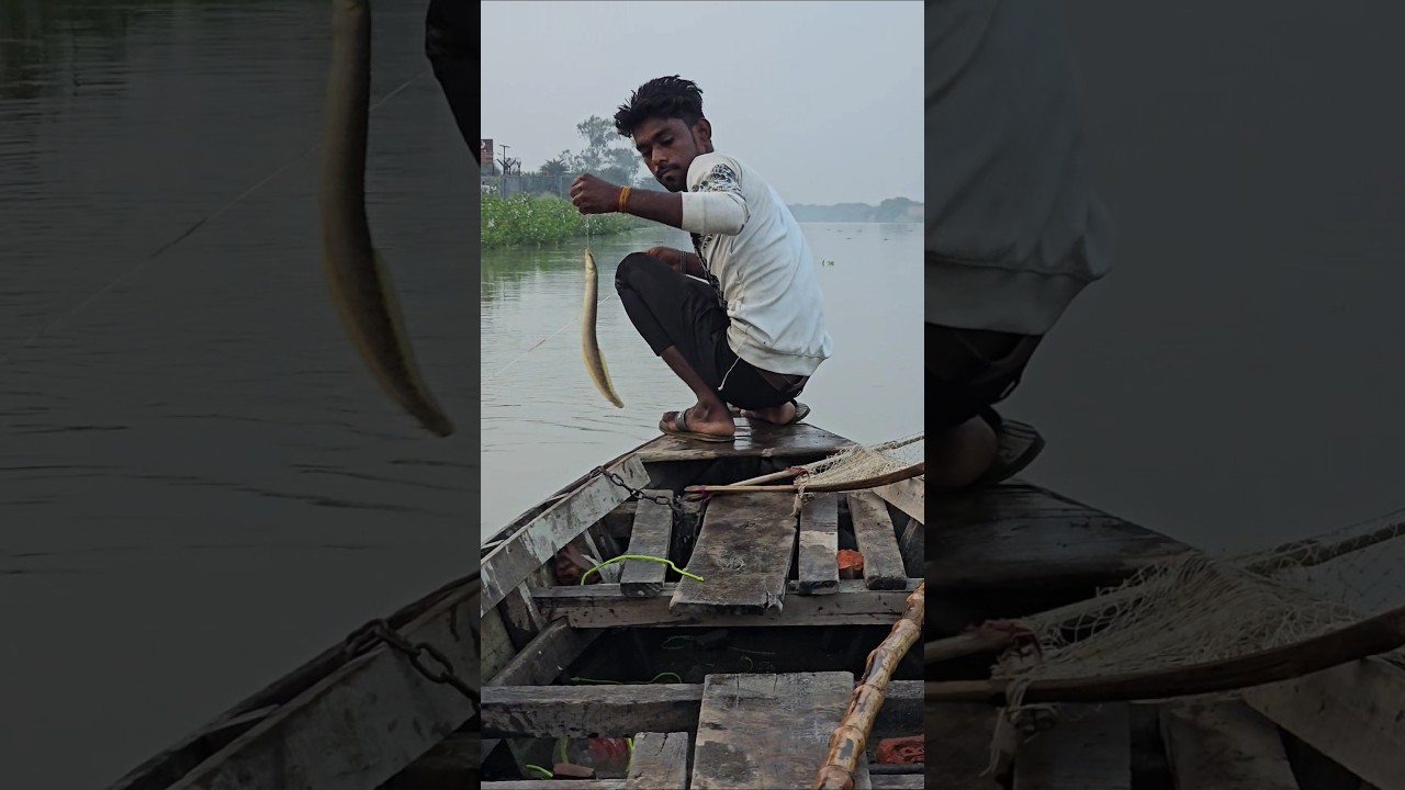 Baam fish River Hooks Best Amezing Fishing 