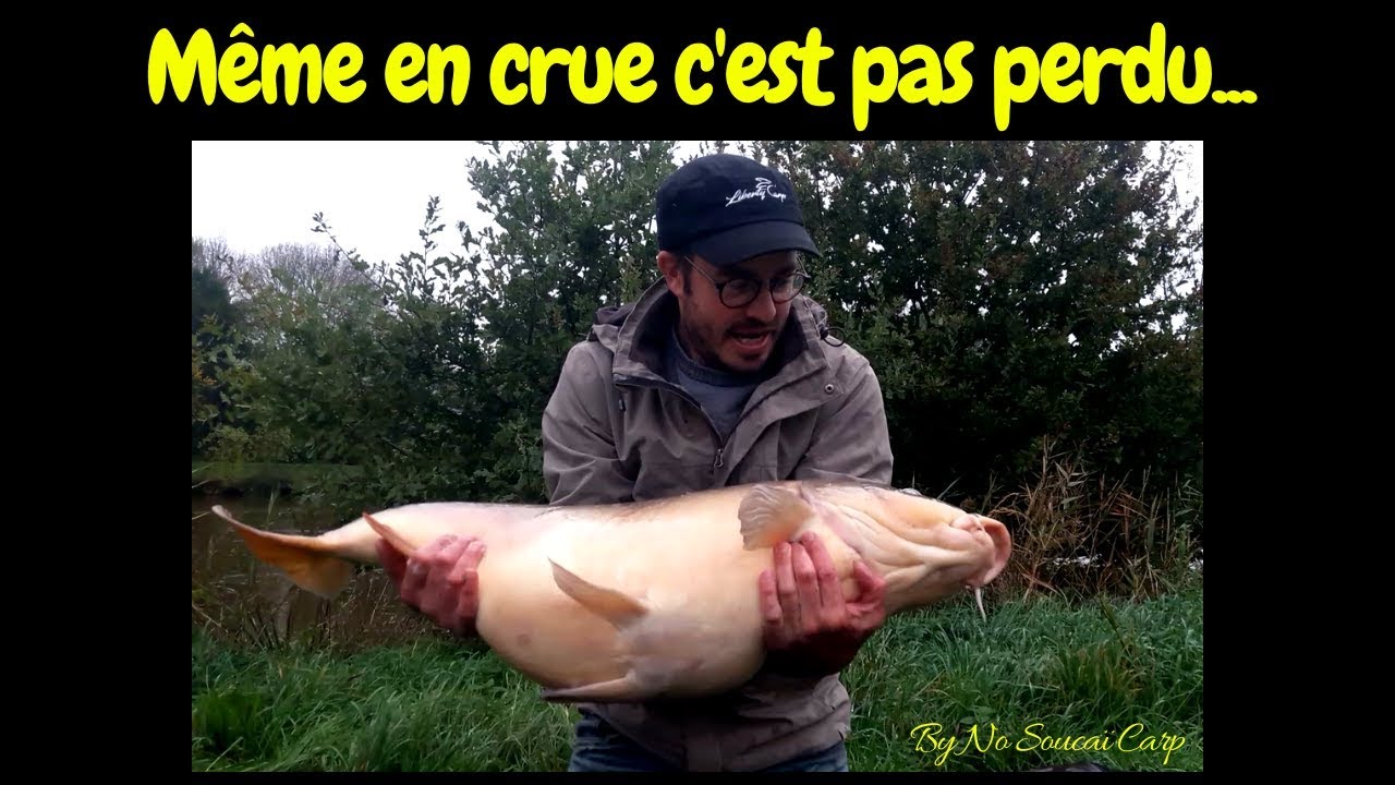 Même en crue, c'est pas perdu..