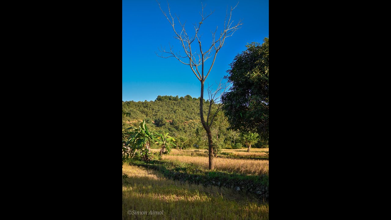 Visit to Mima Village and surrounding on 8th November 2020