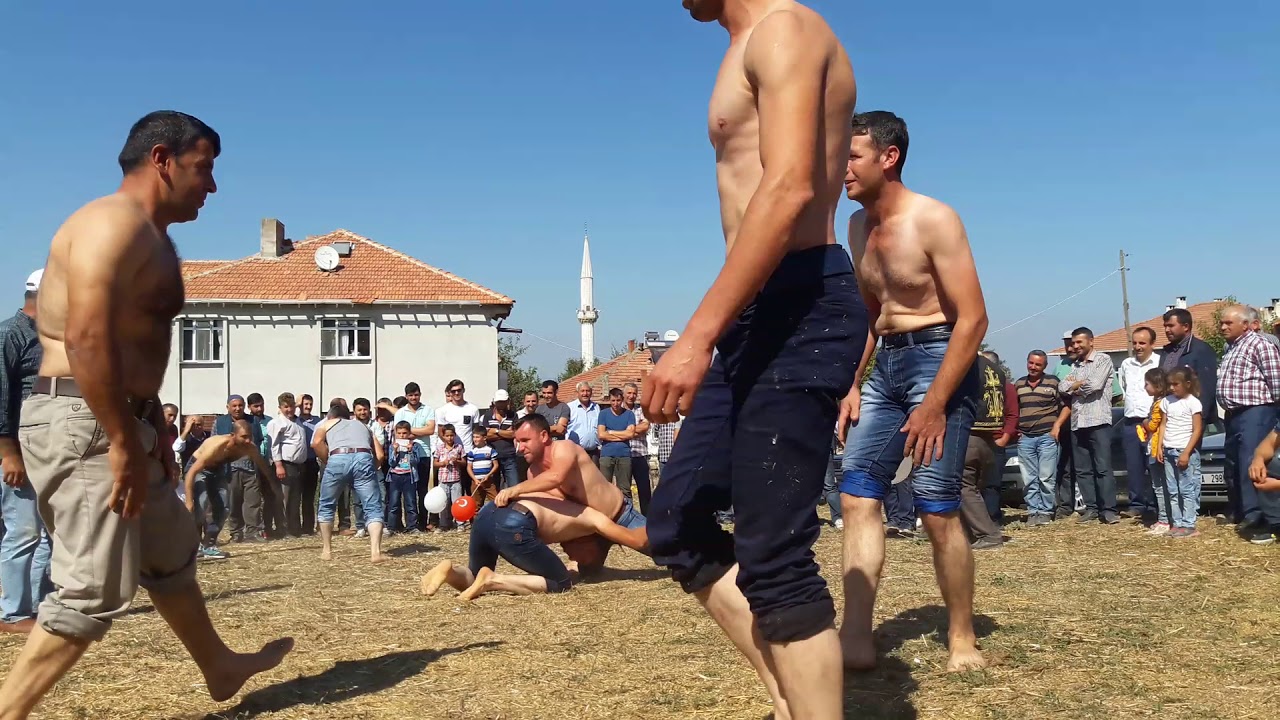 Samsun vezirköprü beşpınar köyü güreşleri