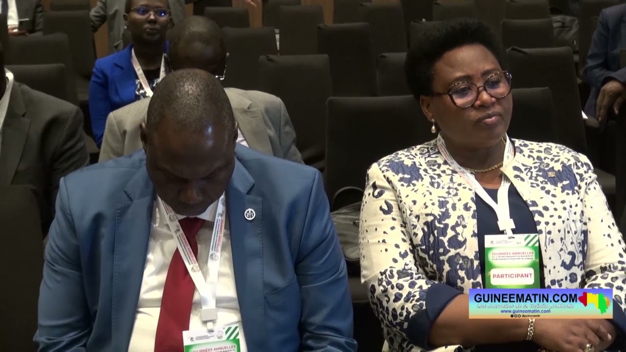 Rencontre des Banquiers et Financiers à Conakry : le discours du Premier ministre, Bah Oury