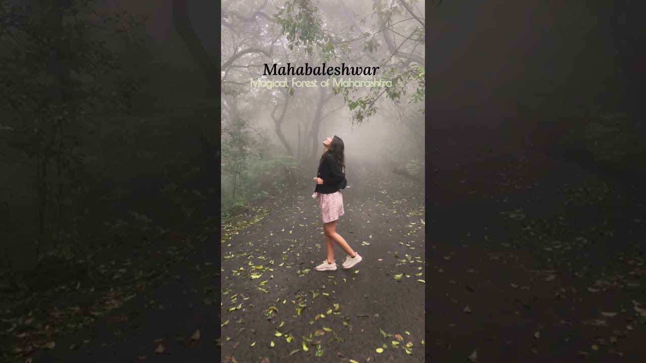 Mahabaleshwar in monsoon hits different. Every corner is a surprise with fairyland feel #maharashtra