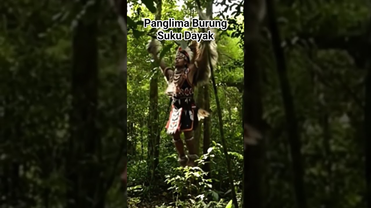 PENAMPAKAN PANGLIMA BURUNG SUKU DAYAK