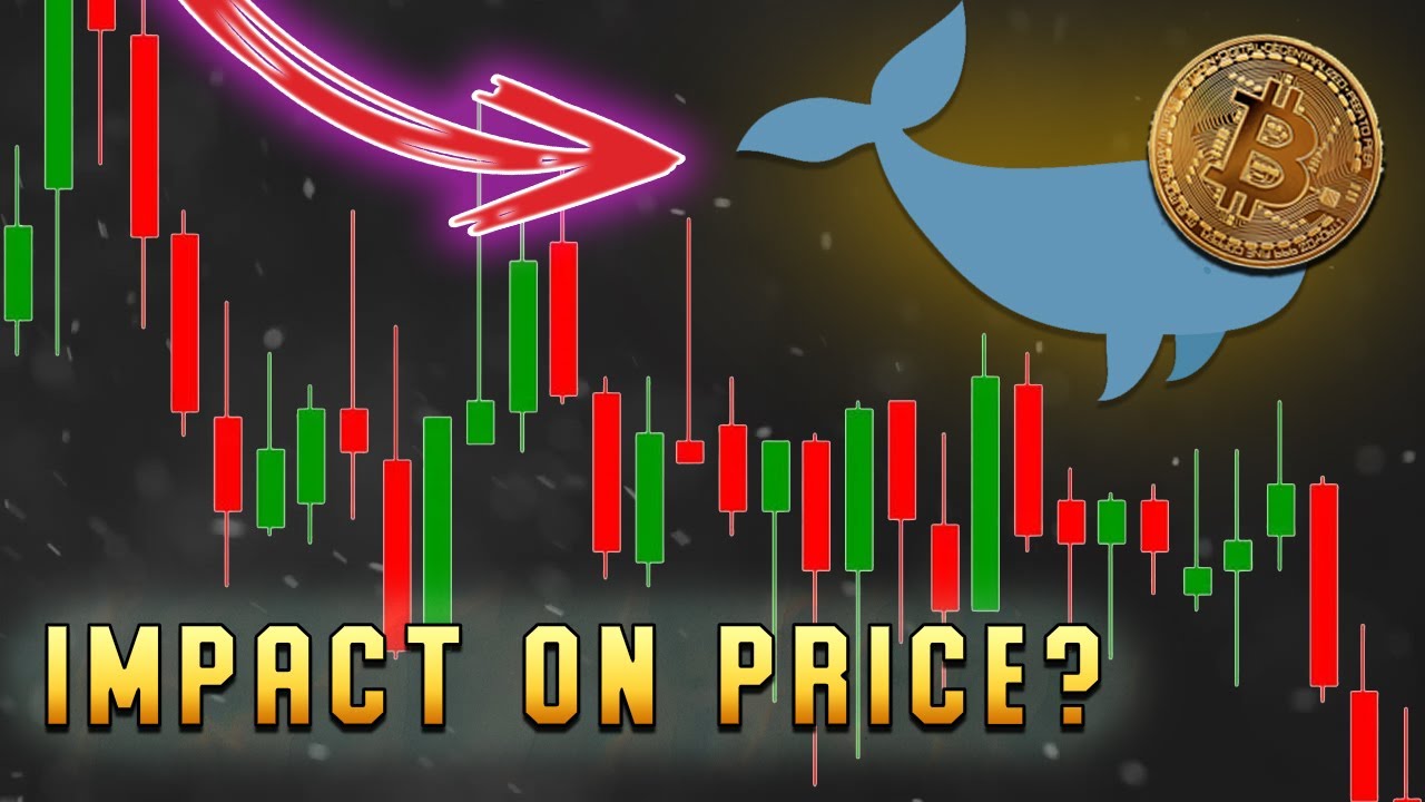 How do Crypto Whales affect the price and why should traders follow them? Bitcoin
