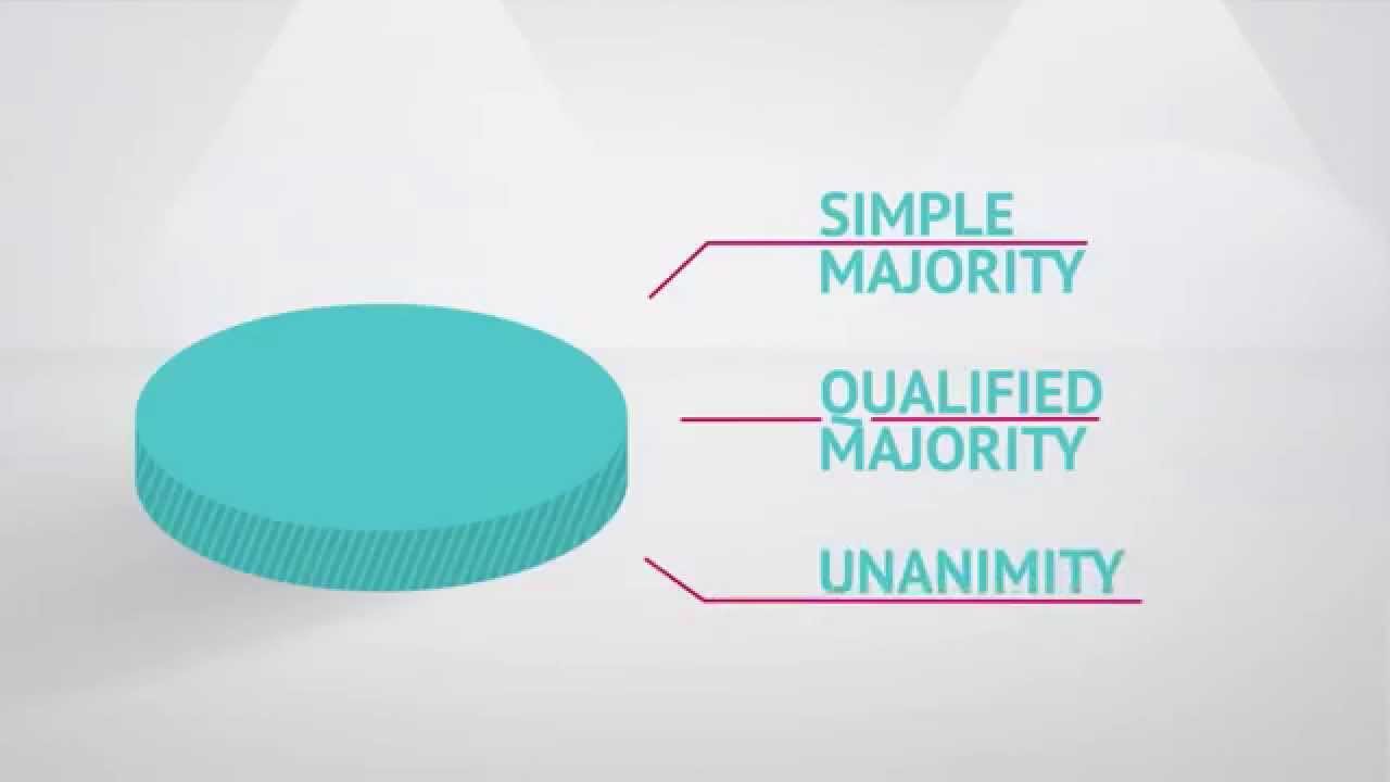 Council animation voting system (EN)