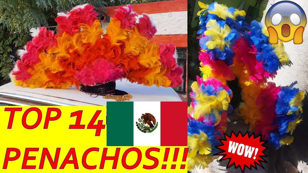 ⚠️⚠️⚠️𝐓𝐎𝐏 𝟏𝟒❗❗❗ 𝑻𝑰𝑷𝑶𝑺 𝑫𝑬 𝑷𝑬𝑵𝑨𝑪𝑯𝑶𝑺 𝑬𝑵 𝑴𝑬́𝑿𝑰𝑪𝑶🔥🔥🔥Tipos de penachos que existen Danzas Matlachines