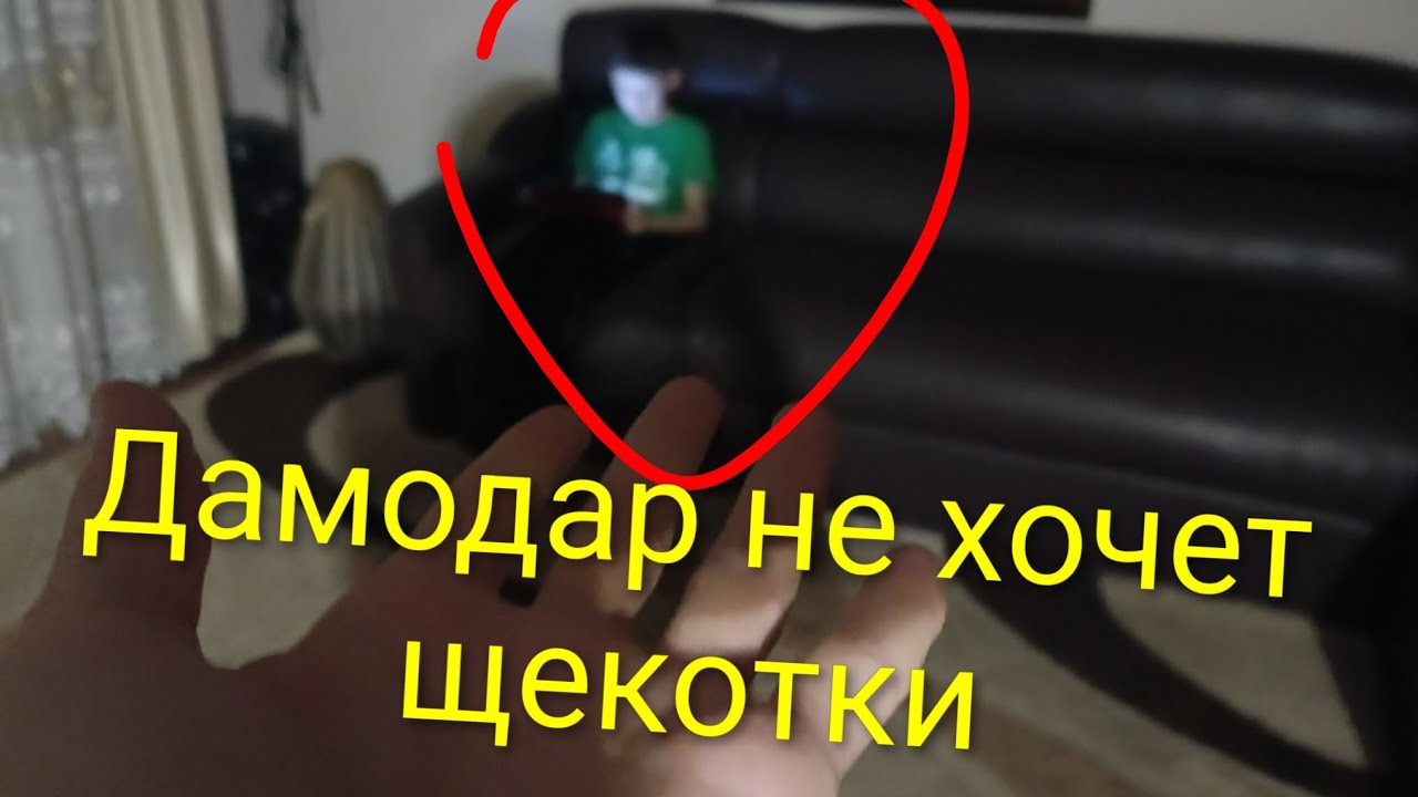 11 февраля 2026 г.