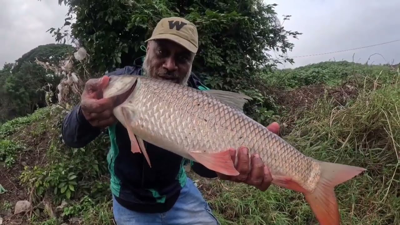 How to best bite raho fish