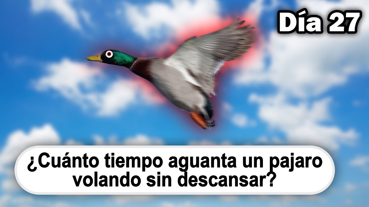 &iexcl;10 PREGUNTAS ASOMBROSAS en 10 Minutos! ⏰😳