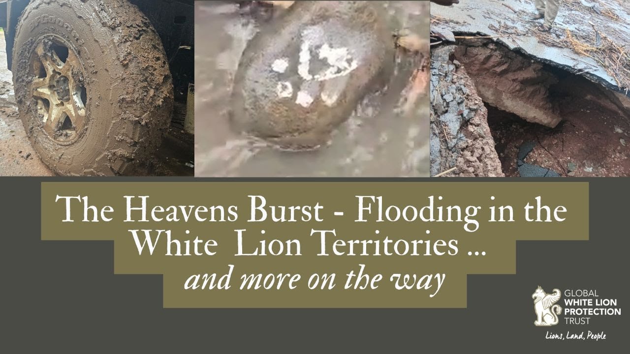 The Heavens Burst - Flooding in the White Lion Territories ... and more on the way
