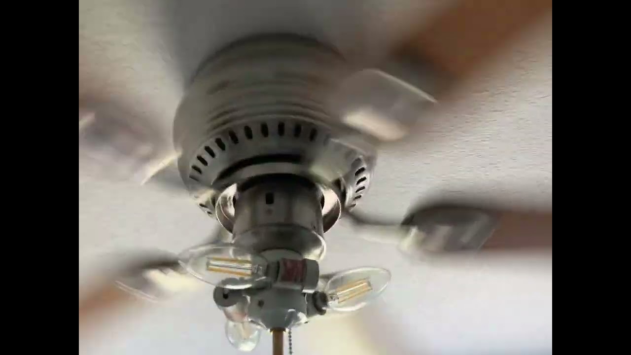 My Mayfield ceiling fan has gotten louder than it was yesterday and it’s so loud in reverse