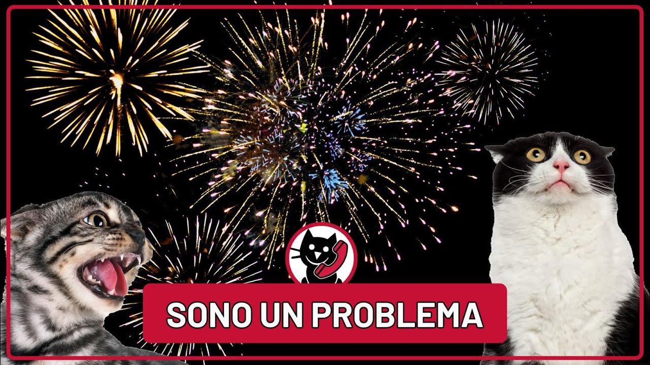 Botti di Capodanno: GRAVI conseguenze dei Fuochi d'Artificio
