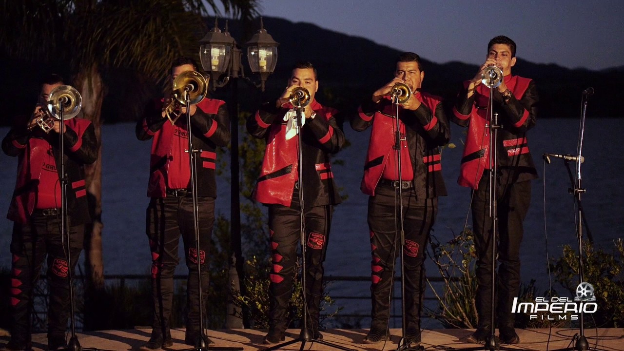 BANDA PURO GRULLO-La Nueva Siempre Alerta