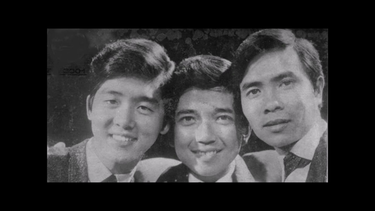 Nhạc trước 1975 - Gặp Bạn và Lời Kẻ Đắng Trình - Thanh Phong, Phương Đại