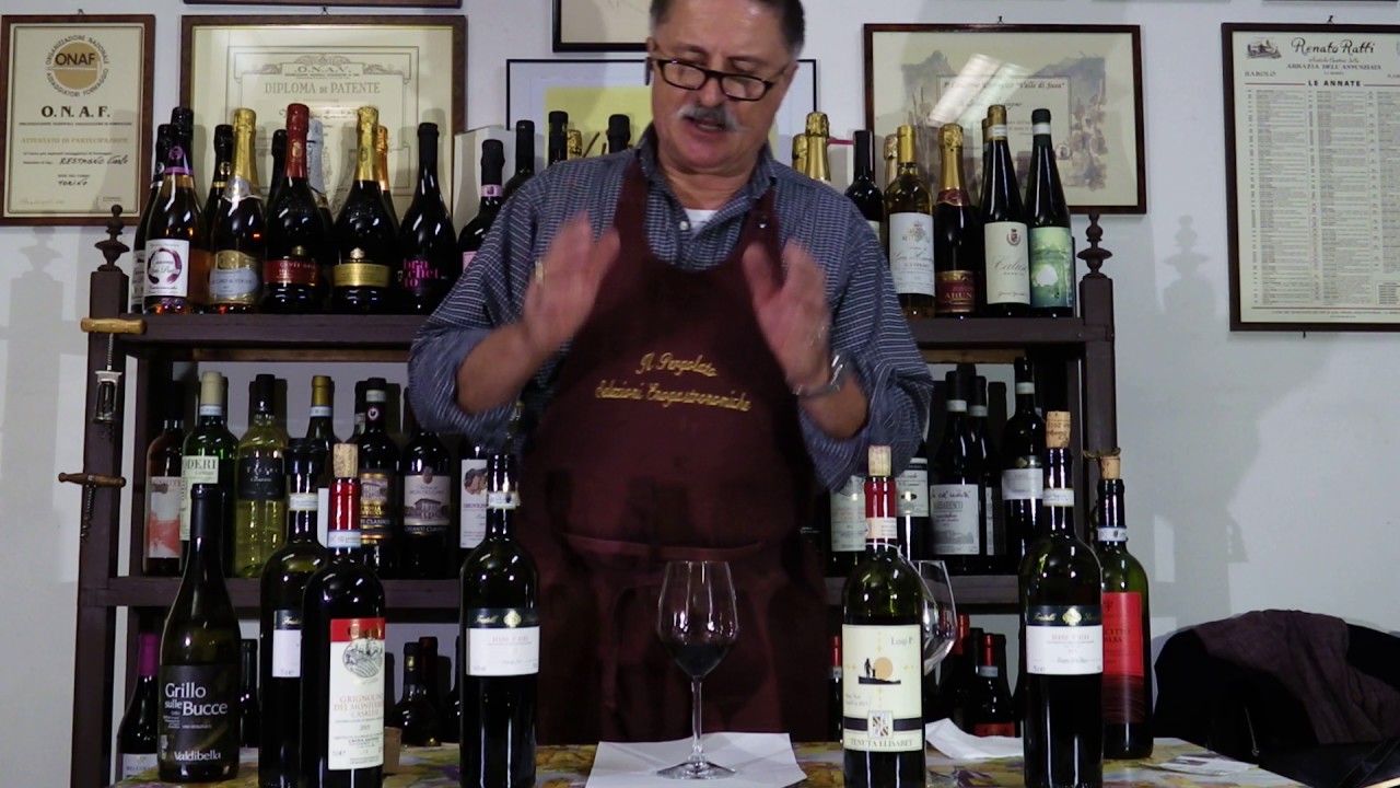 Vinonesto Diano d'Alba Sorì del Sot Dei Flli Savigliano