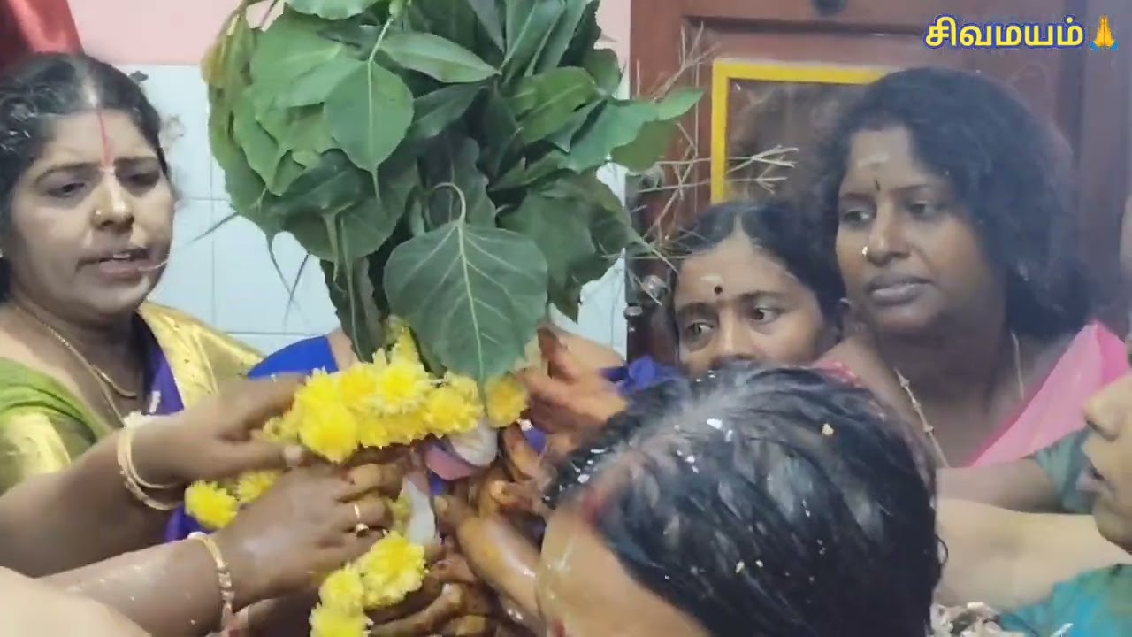 14.1.26அன்றுபுதுப்பாக்கத்தில்உள்ளஸ்ரீ பாண்டுரங்கன்ஆண்டாள் திருக்கல்யாணம்வைபவம்மிக சிறப்பாகநடைபெற்றது
