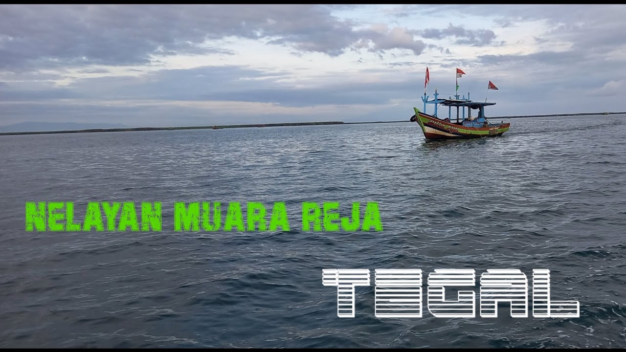 nelayan teradisional lagi panen ikan teri nasi// muara reja tegal