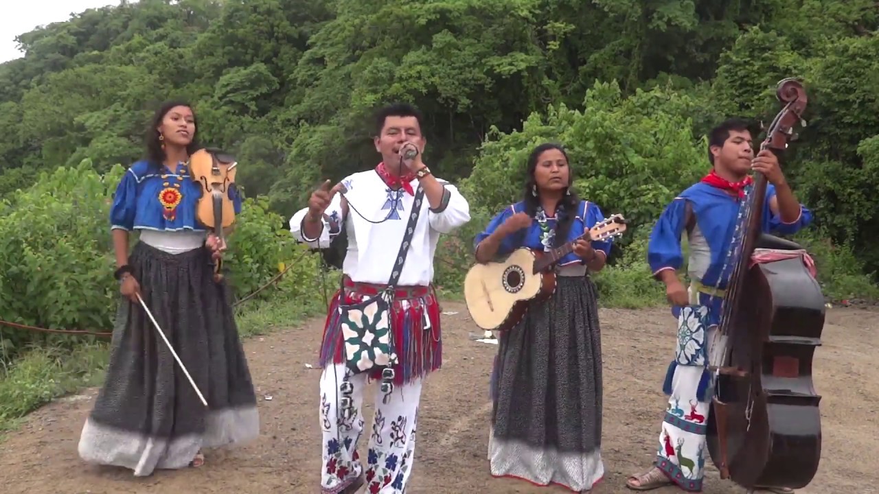 Cultura Musical:una primisia