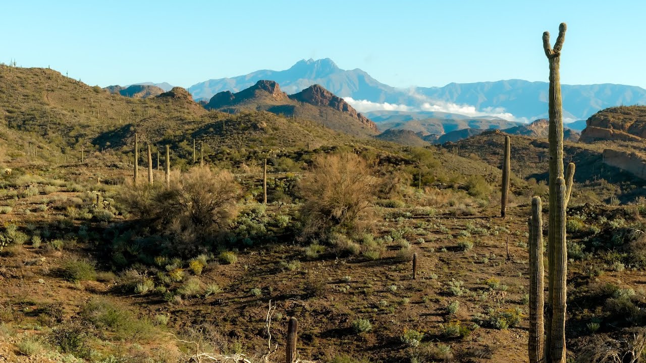 Hackberry Springs Trail, Superstition Wilderness