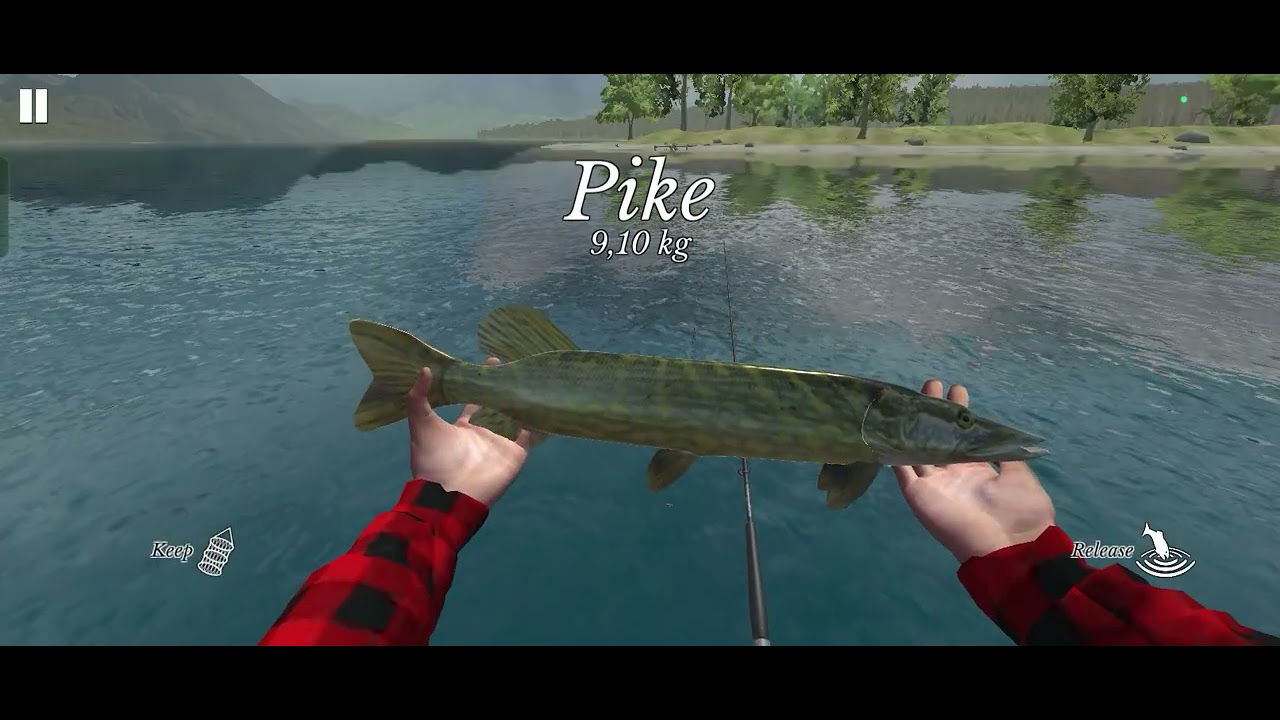 Aku mancing di:ultimate fishing simulator:Mantap) 