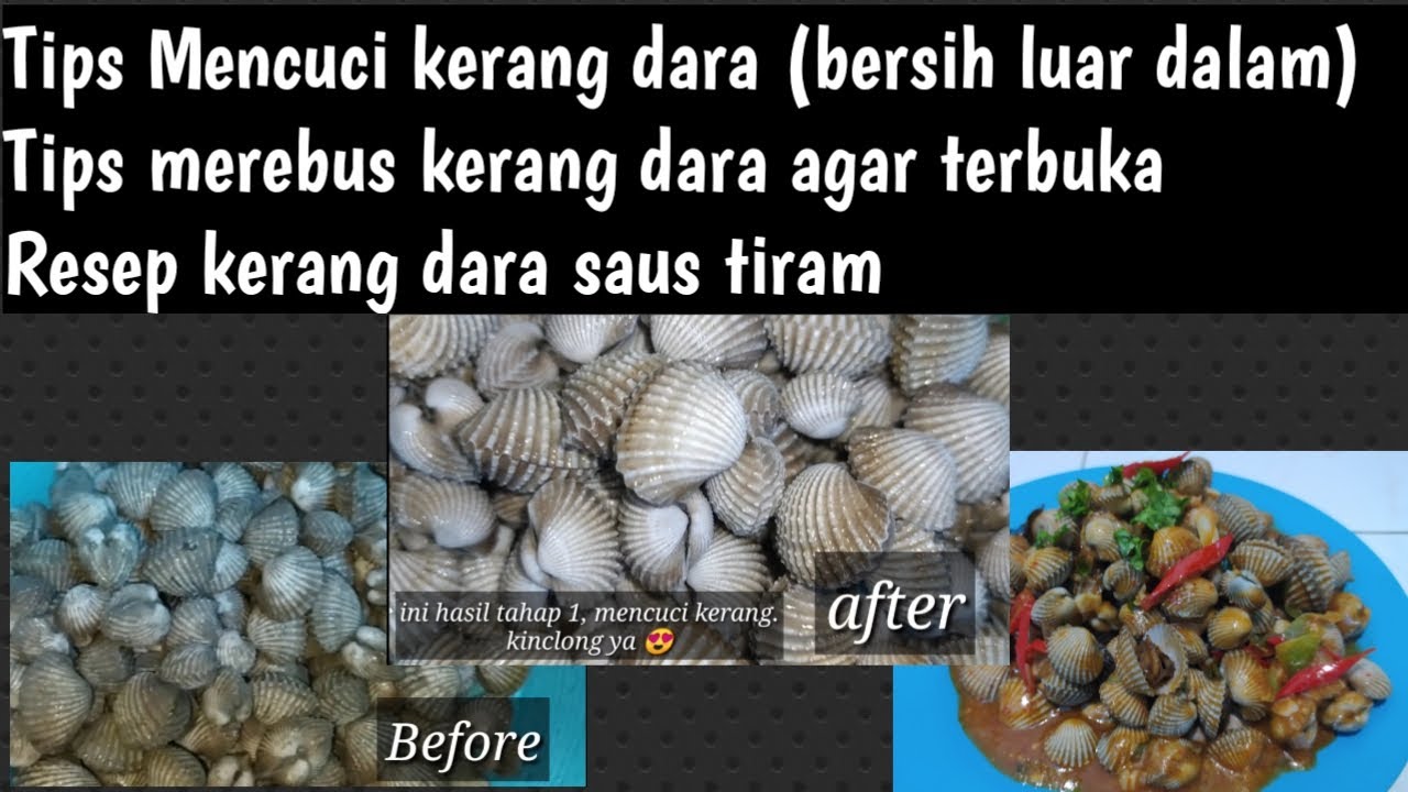 Resep Kerang Dara Saus Tiram (Mudah Bukanya, Meresap Bumbunya)