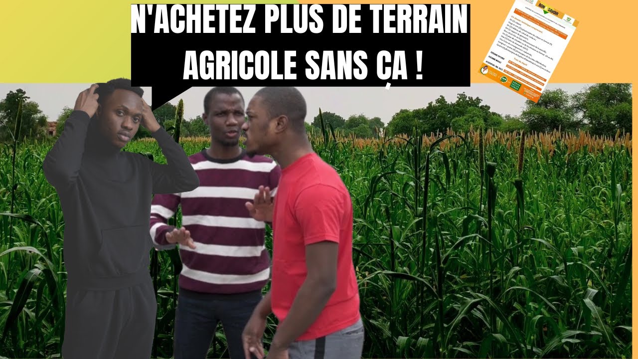 Comment ACHETER un TERRAIN AGRICOLE sans RISQUE en