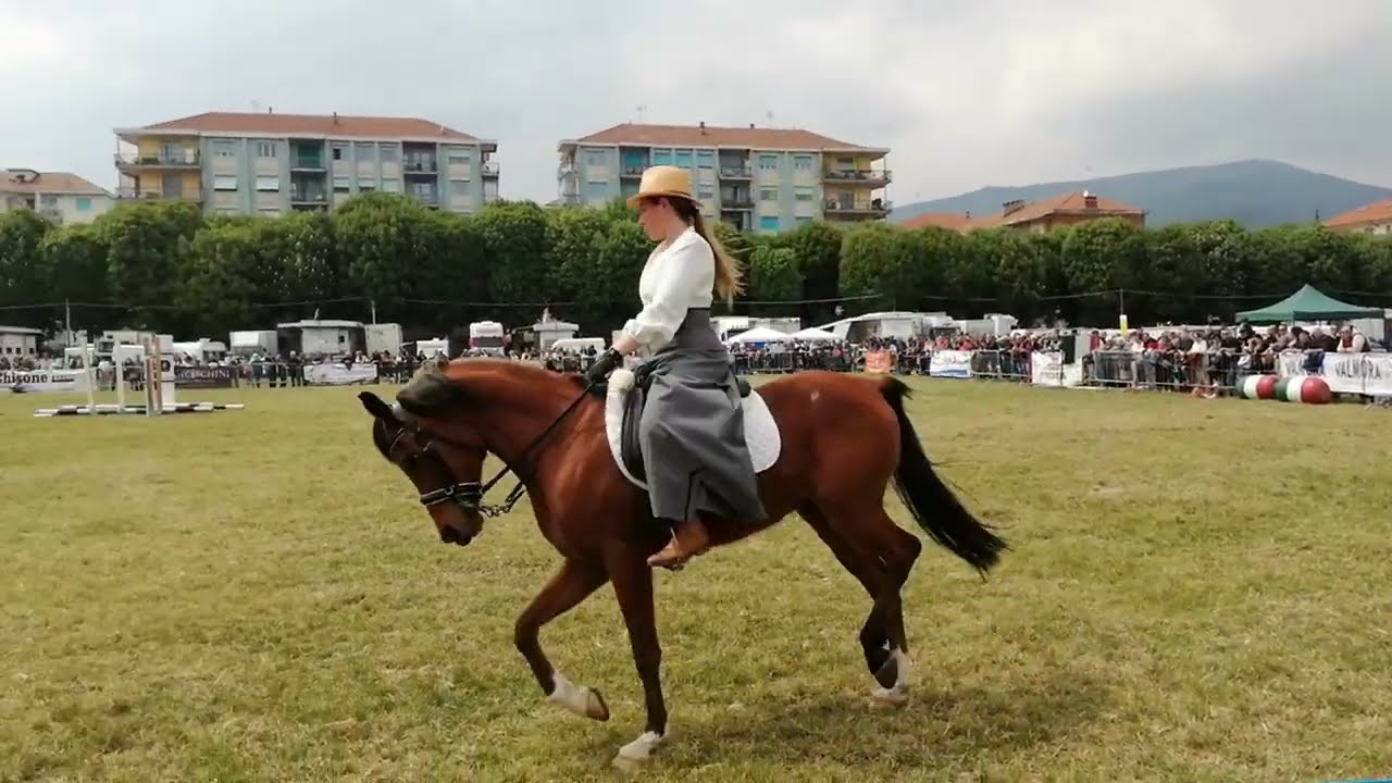 Pinerolo in Sella esibizioni sportive 2023 @ Pinerolo (To)