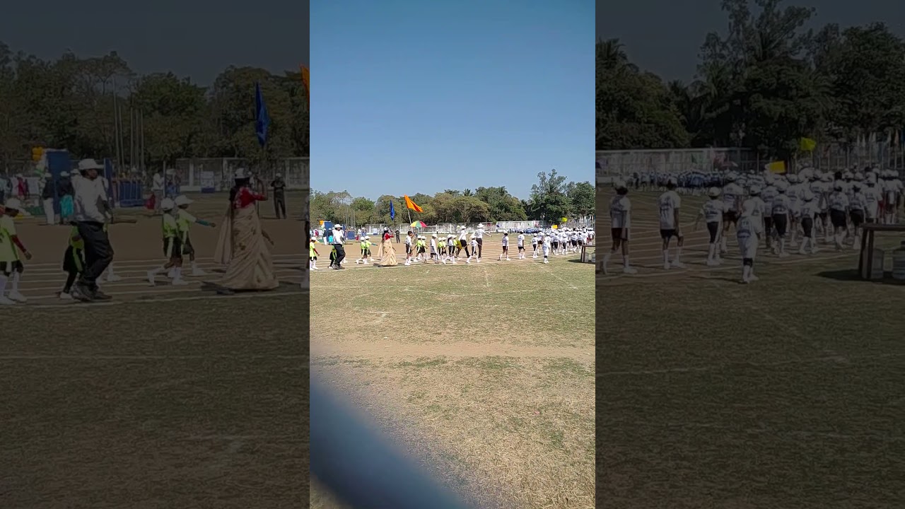 District sports 