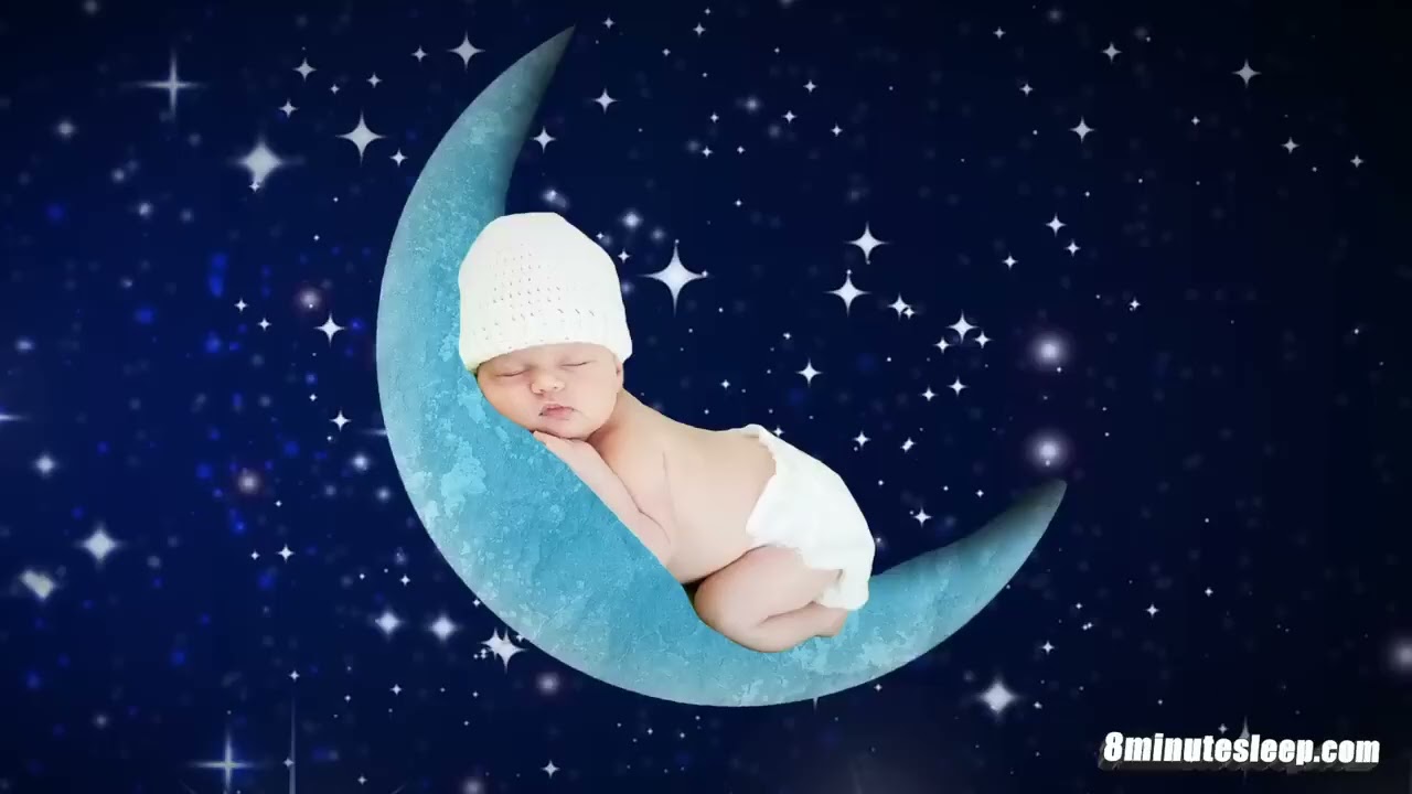 Sleep & Study Calm