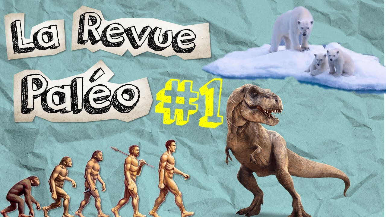 Tyrannosaurus Rex, nos origines et extinction en cours ! La Revue Paléo #1