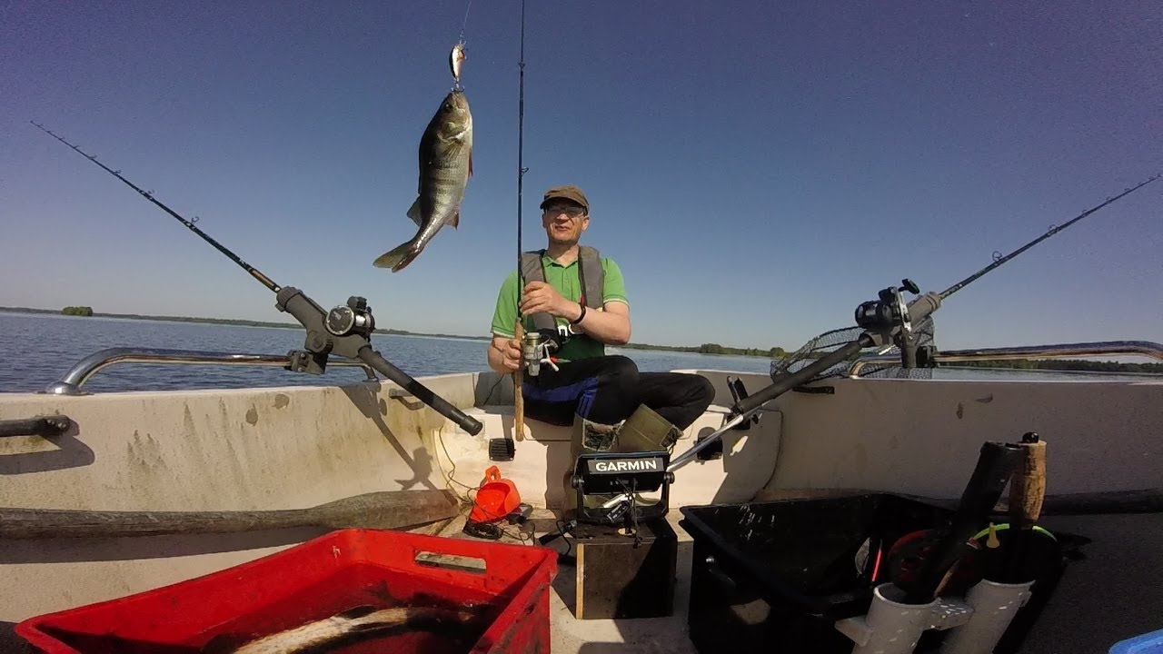 VETOUISTELUA KESÄKUUSSA 2023 - FISHING PIKE AND PERCH IN JUNE 2023