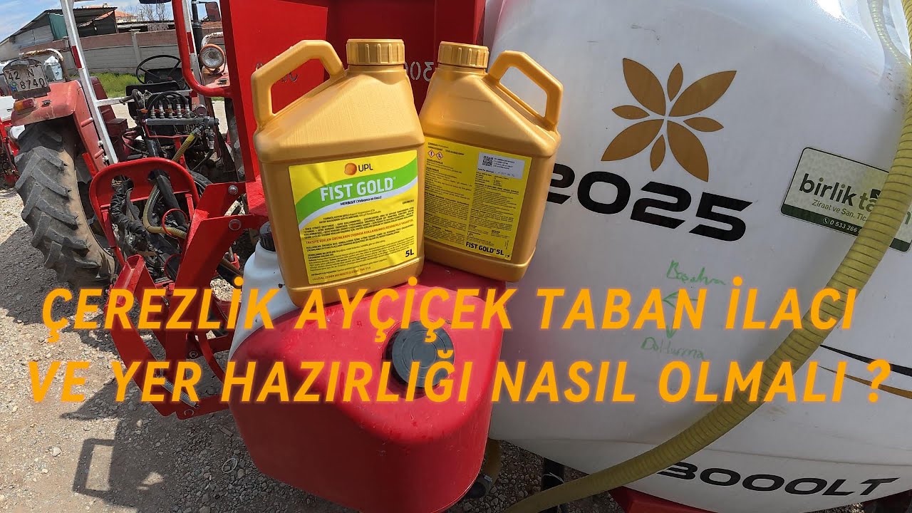 Ayçiçek yerlerine ilaç attık hangi ilacı dekara ne kadar atmalısınız?