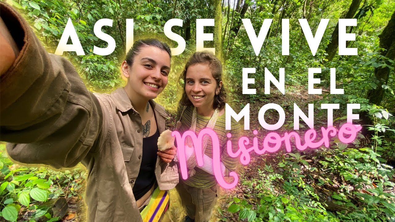 VIVIR SIENDO SUSTENTABLE 🌿💚| MISIONES  EP. 2 UN DIA EN EL MONTE