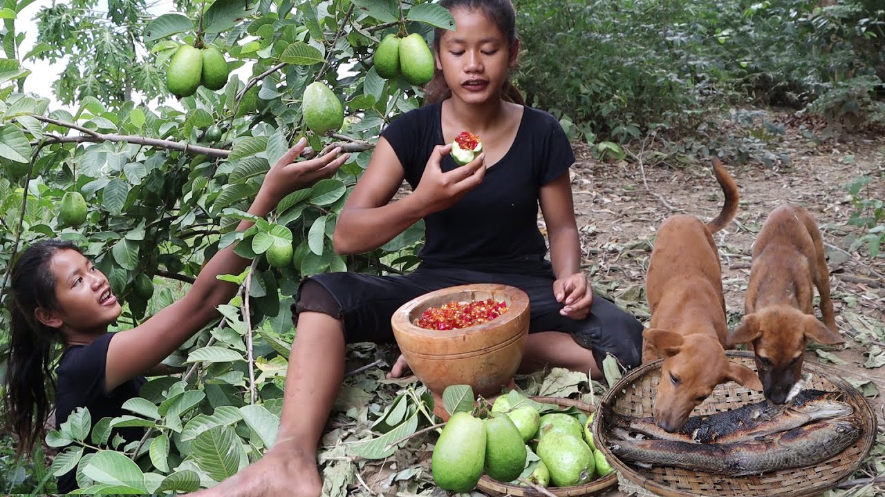 Survival in the rainforest- Catch two fish Cook for dog and Guava fruit with Salt chili for lunch